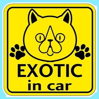 สติกเกอร์ จุ๊บติดกระจก แผ่นแม่เหล็กติดรถยนตร์ สติกเกอร์แมว exotic cat  AD10