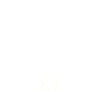 Profile NoName