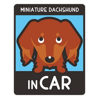 สติ๊กเกอร์ติดรถยนต์ BOA388 สติกเกอร์ติดรถ Dachshund in car สติ๊กเกอร์ติดรถสวยๆ Sticker