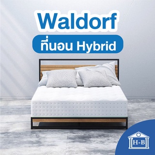 Home Best ที่นอนสปริงเสริมยางพารา 9นิ้ว รุ่น Waldorf หุ้มผ้านุ่ม Pure Cotton ที่นอน ราคาคุ้มค่า ที่นอนสปริง mattress