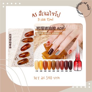 สีเซ็ต สีเจล AS รุ่น 9 สี สีไซรัปโทนน้ำตาลแดง