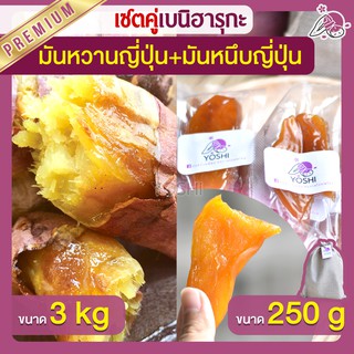 แพ็คคู่ถูกกว่า มันหวานญี่ปุ่น เบนิฮารุกะ 3kg + มันหนึบ 250g  มันหวานญี่ปุ่นนำเข้า มันหวานญี่ปุ่นเบนนิฮารุกะ มันหนึบ