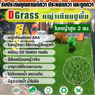 หญ้าเทียมปูพื้น Dgrass สำหรับตกแต่งสวน เคลือบกัน UV ความสูง 2 ซม. รุ่น 2S มีหญ้าแห้ง หน้ากว้าง 1 เมตร ยกม้วน 25 ตรม.