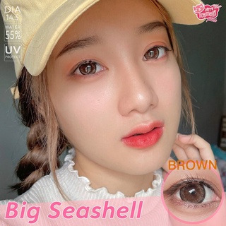 Big Seashell Brown (ตาโต) คอนแทคเลนส์ Kitty Kawaii