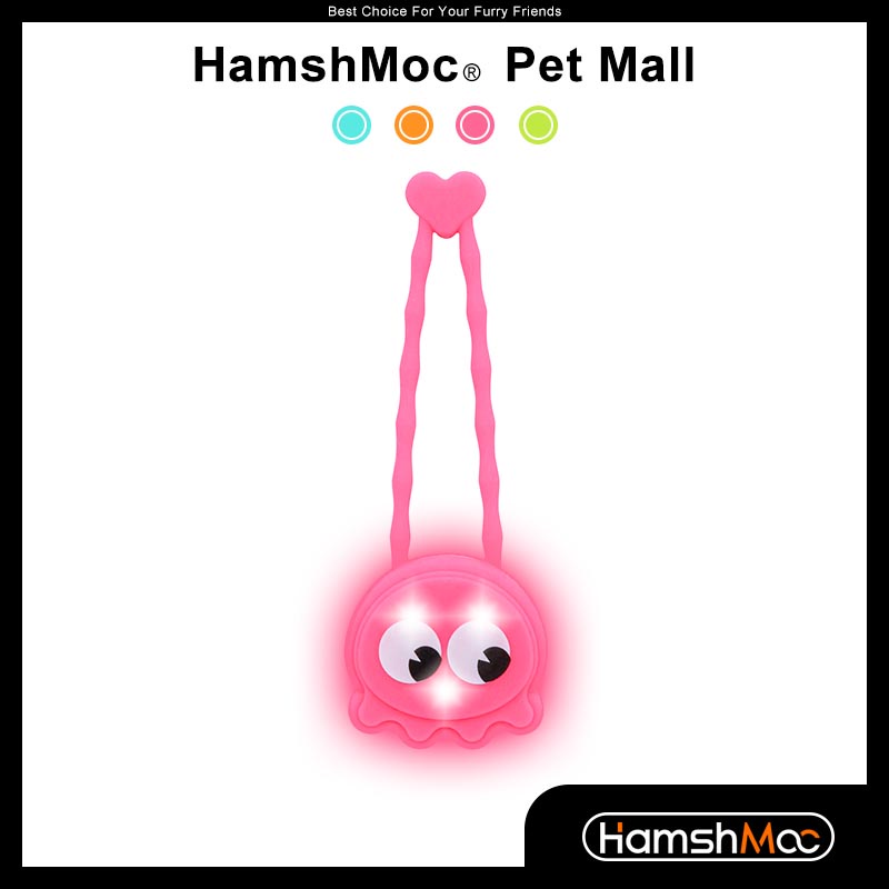 HamshMoc สุนัขไฟ LED คลิปบนแท็กสัตว์เลี้ยงสุนัขกันน้ําสําหรับเดินกลางคืนสดใสการมองเห็นสูงเรืองแสงติดปลอกคอสายจูงสายรัดป้องกันการสูญหาย