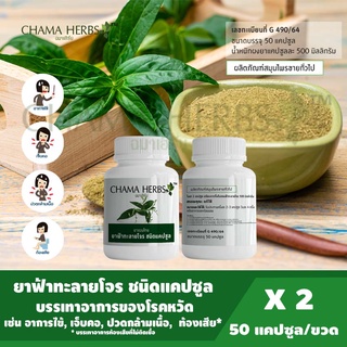 Chama Herbs ฟ้าทะลายโจร 50caps 500mg. (ผลิตภัณฑ์สมุนไพรขายทั่วไป) แพ็ค 2 กระปุก