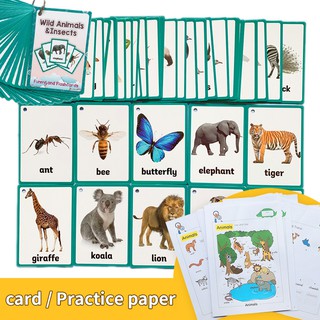 Wild Animals&amp;Insects English Flash Card Gifts Practice Paper Exercise Coloring Books Educational Toys