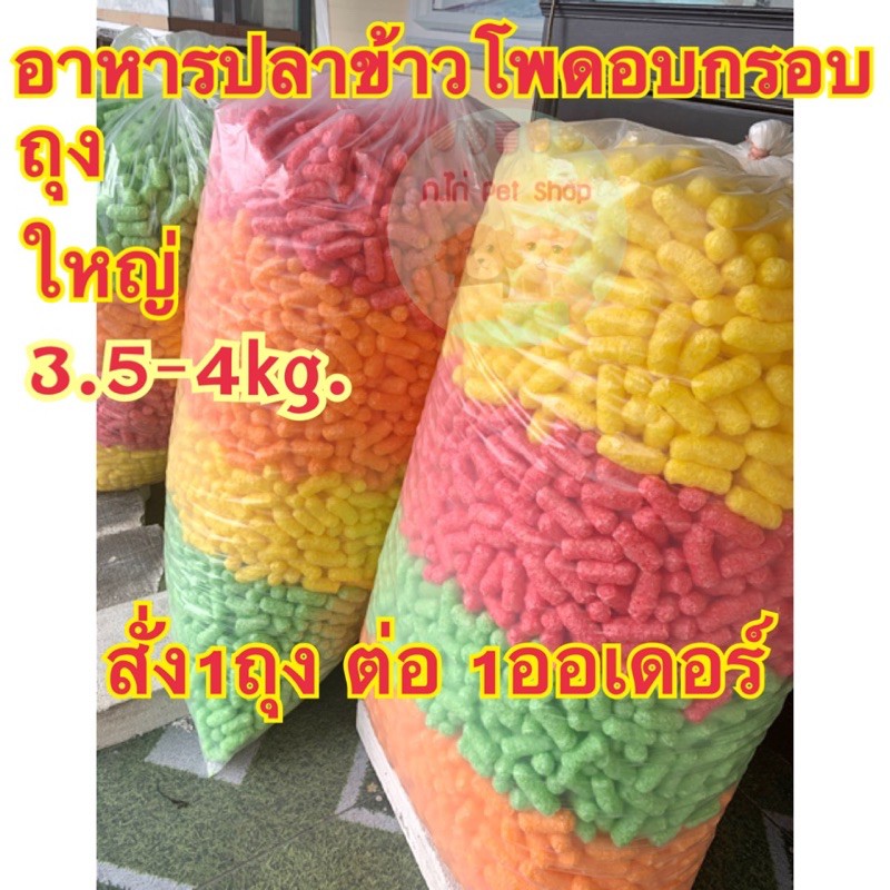 อันดับหนึ่ง 97+ ภาพพื้นหลัง ร้านขายอาหารปลาข้าวโพด ใกล้ฉัน ความละเอียด 2k, 4k