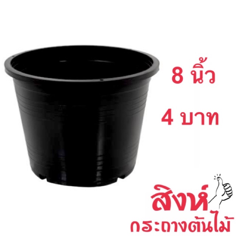 กระถางต้นไม้  8  นิ้ว