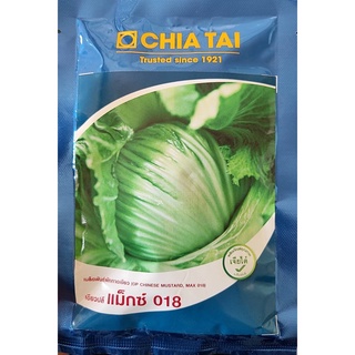 เมล็ดพันธุ์ เขียวปลี แม็กซ์ 018📌หมดอายุ5/2567 🌿(100g.)ผักกาด เขียวปลี ห่อกอดเป็นหัว เหมาะสำหรับทำผักดองมากๆ