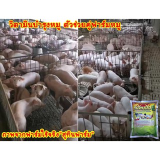 พรีมิกซ์หมู บำรุงหมูทุกระยะ หมูขุน หมูแม่พันธุ์พ่อพันธุ์ ลูกหมู อาหารเสริมหมู ชุดนี้ 12กิโล