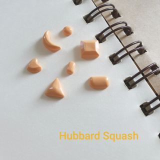 ต่างหูหมุดเงินแท้ รุ่น Minimal Chic #สีHubbard Squesh🤠🧡