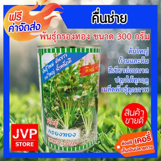 เมล็ดพันธุ์คื่นฉ่าย พันธุ์กรองทอง ตราปลาทอง เมล็ดผักสวนครัว ขนาด 300 กรัม 1 กระป๋อง