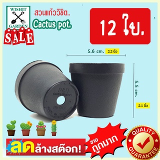 กระถางแคคตัส กระถางกระบองเพชร PU012 ขนาด 2.2 นิ้ว สีดำ 12 ใบ เนื้อพลาสติกแน่นหนาทนทาน ราคาถูก