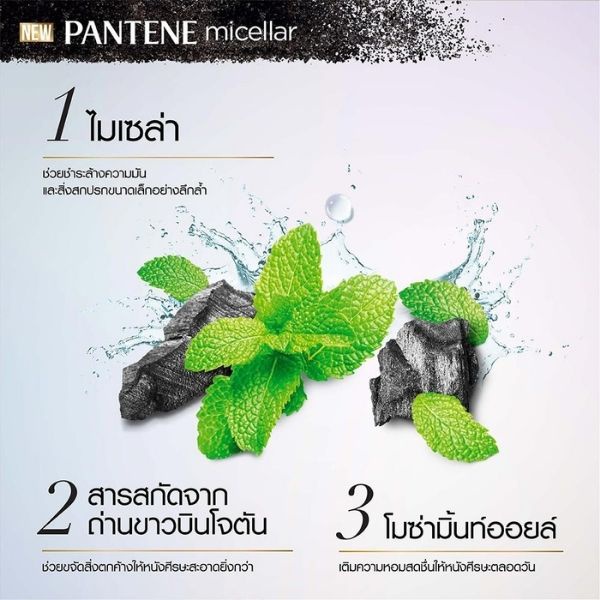 Pantene แพนทีนไมเซล่า ชาร์โคล ครีมนวด 530 มล. Pantene Micellar Detox&Scalp Cleanse Conditioner 530 ml - รูปที่ 5