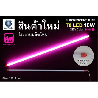 IWACHI หลอดนีออนสี ขั้วกันน้ำ รุ่นใหม่ LED T8 18W สีชมพู