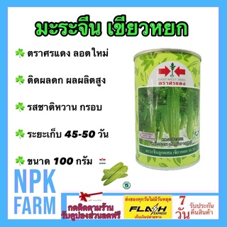 มะระจีน เขียวหยก ขนาด 100 กรัม ศรแดง ลอตใหม่ งอกดี ผลยาวตรง ไหล่ผลกว้าง ติดผลดก ผลผลิตสูง ลายน้ำสวย เนื้อหนา น้ำหนักดี