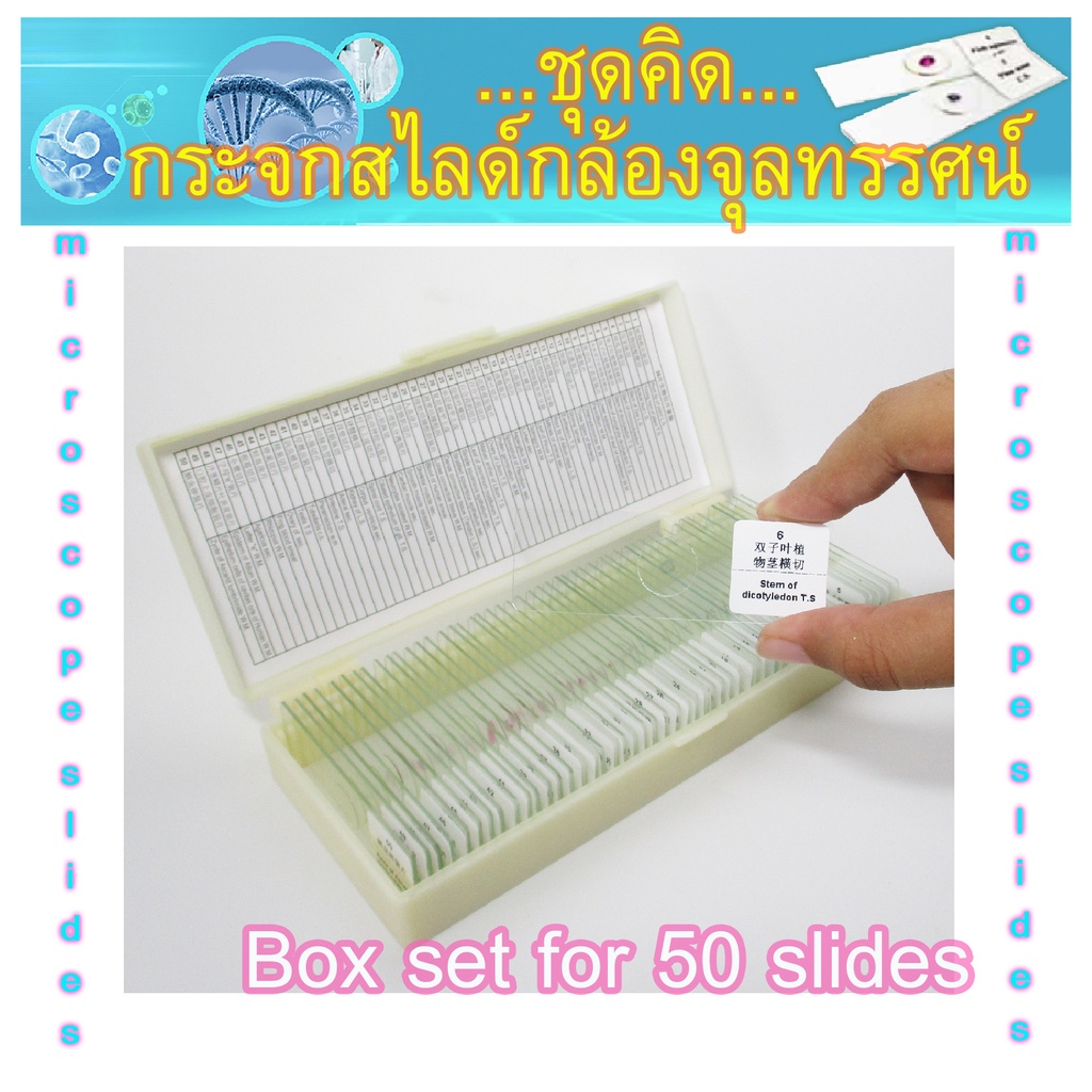 ชุดคิดตัวอย่างเซลล์กล้องจุลทรรศน์ ตัวอย่างเซลล์สำหรับวิชาชีววิทยาโรงเรียนประถมและมัธยมศึกษา ตัวอย่าง 25/50/100  ชิ้น