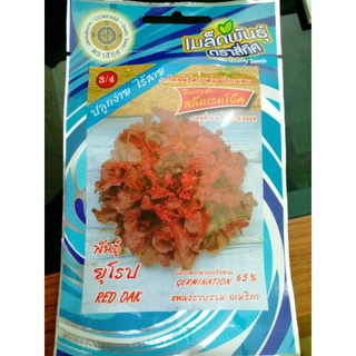 เมล็ดสลัดเรดโอ๊ค พันธุ์ยุโรป สลัดเรดโอ๊ค เมล็ดผัก เมล็ดพันธุ์ ตรา สี่ทิศ 4ทิศ
