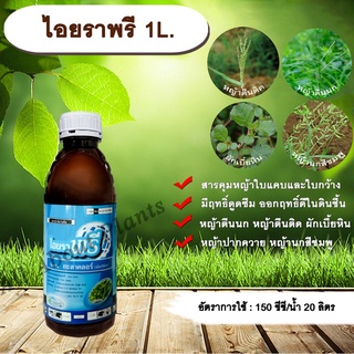 ไอยราพรี 1L. อะลาคลอร์ คุมหญ้า คุมวัชพืช สารกำจัดวัชพืช ใบแคบและใบกว้าง