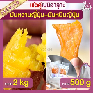 แพ็คคู่ถูกกว่า มันหวานญี่ปุ่น เบนิฮารุกะ 2kg + มันหนึบ 500g  มันหวานญี่ปุ่นนำเข้า มันหวานญี่ปุ่นเบนนิฮารุกะ มันหนึบ