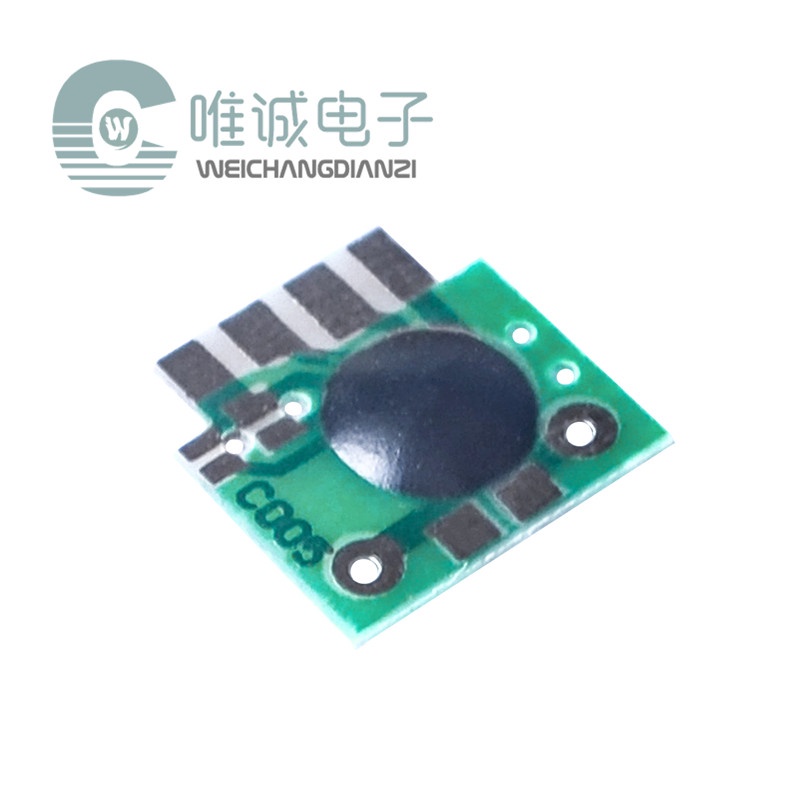 Time-Setting Delayable Timing Chip/Delay Chip/Trigger Delay IC/2s1000h Timing IC