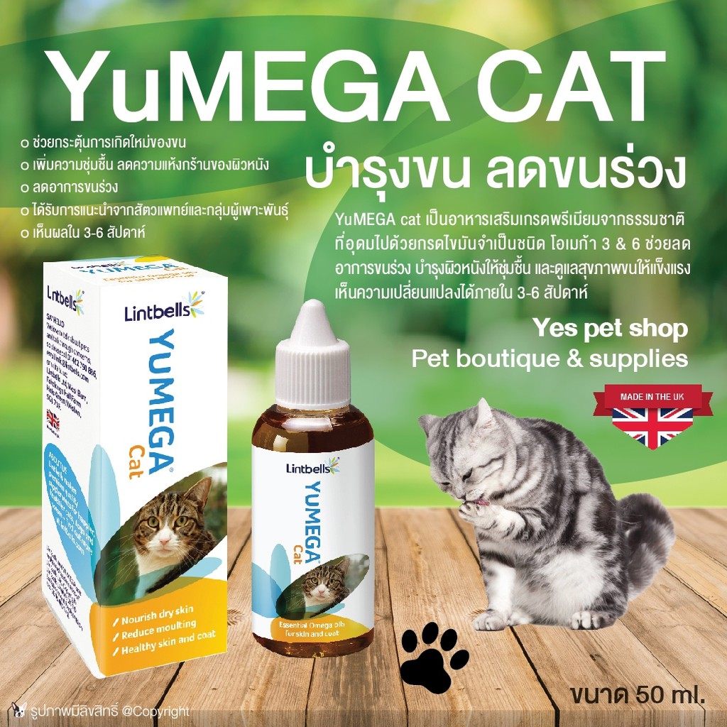 yumega cat