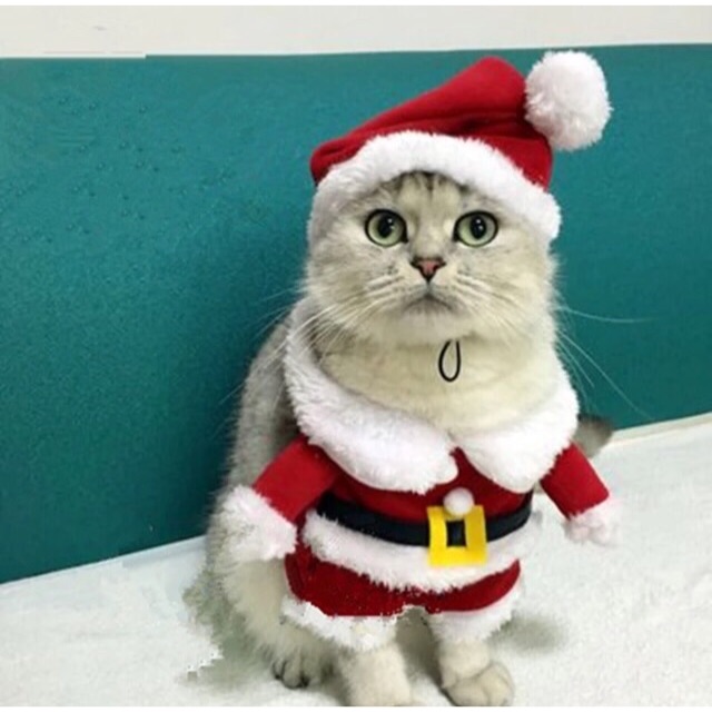 My Image 85