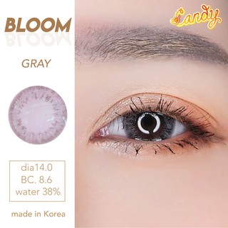 คอนแทคเลนส์  Bloom เทา พร้อมส่งแบบปกติ และค่าสายตาสั้น 0.00- 7.00 (สายตาที่มีในลิสกดสั่งได้เลยค่า)