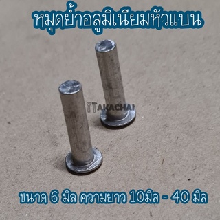 หมุดย้ำอลูมิเนียมหัวแบน รีเวทย้ำ อลูมิเนียมแท้ ขนาด 6mm แพคละ 10ตัว