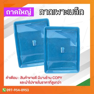 ถาดเพาะเมล็ดผักไฮโดรโปนิกส์ (ถาดใบใหญ่) by hydroponicgroup