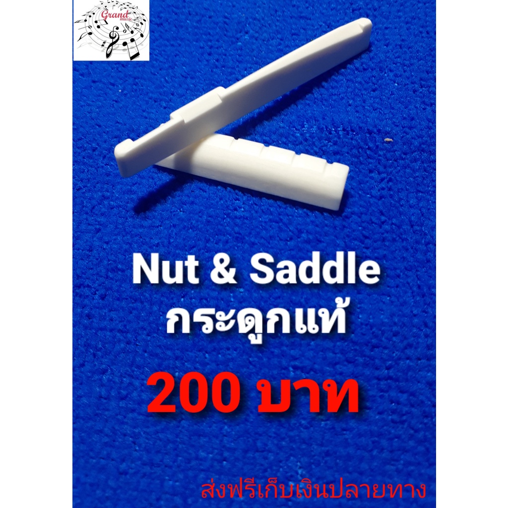 Nut and Saddle (นัด และ แซดเดิล) กระดูกแท้