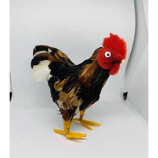 ไก่ชนขนจริงแบบจำลองไก่จริงงานมือตั้งหิ้งไอ้ไข่ถวายแก้บนงานขายเป็นคู่นะค่ะ