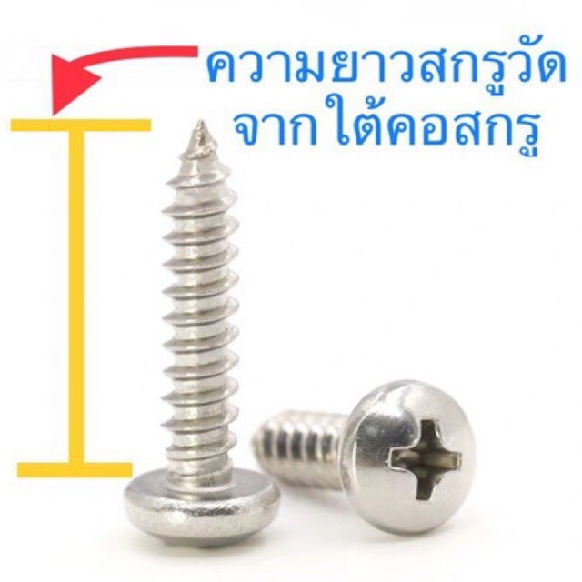 ♣สกรูเกลียวปล่อย สแตนเลส P+ #7 หัวกลม ยกกล่อง