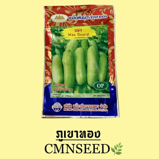 เมล็ดพันธุ์ แฟง Wax Gourd ปริมาณ 2 กรัม