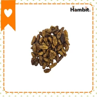 Hambit. หนอนไหมอบแห้ง จิ้งหรีดอบแห้ง สะดิ้งอบแห้ง ไม่ใส่เกลือ สำหรับสัตว์เลี้ยง