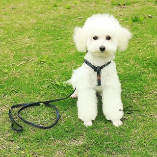 🐶SETสายจูงสุนัข+สายรัดอก สำหรับน้องๆทุกสายพันธุ์