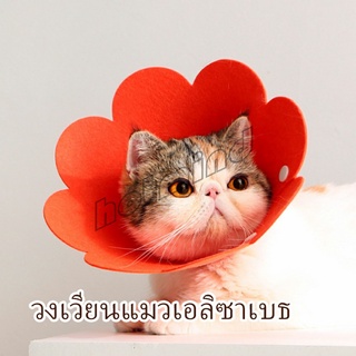 HotMind คอลล่าแมว ปลอกคอดอกไม้ ปลอกคอกันเลีย คอลล่าสุนัข  Cat coll