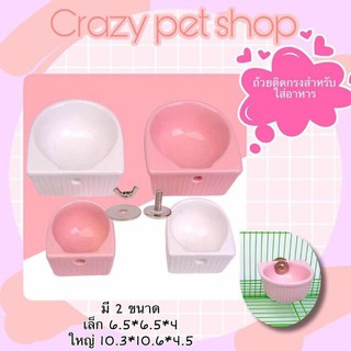 crazy pet shop🐹ถ้วยลอยเซรามิก ใส่อาหารสำหรับสัตว์เล็กตัวเล็ก