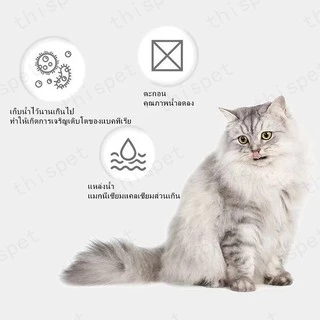 🔥6ชิ้น จากประเทศไทย ส่งจากไทย น้ำพุแมว ไส้กรองน้ำพุแมว แผ่นกรองน้ำพุแมว ไส้กรองน้ำพุ