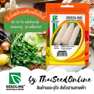 SL เมล็ดพันธุ์ซองเล็ก 😘 ใหม่ 🌽เพิ่มความหวาน25%😍 เมล็ดพันธุ์ ข้าวโพดข้าวเหนียวลูกผสม สโนไวท์ ตราซีดไลน์ (SNOW WHITE) Corn