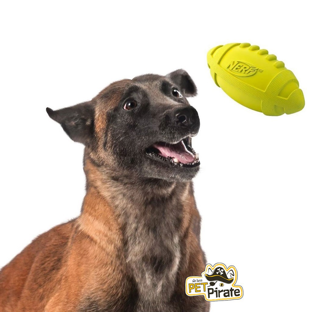 ❇Nerf Dog ของเล่นหมา ลูกอเมริกันฟุตบอลยางขนาด 7” บีบกัดมีเสียง ของเล่นสุนัข แบรนด์ดังจาก USA สำหรับหมาไซส์กลาง-ไซส์ใหญ่