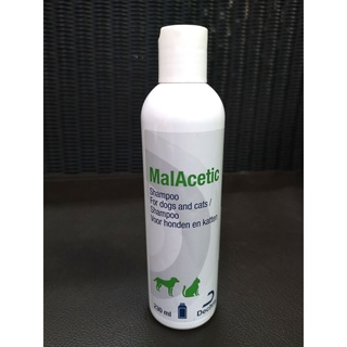 MalAcetic Shampoo แชมพูสำหรับสัตว์เลี้ยงที่ติดเชื้อแบคทีเรีย และเชื้อรา ช่วยลดกลิ่นอับชื้น 230ml สำหรับสุนัขและแมว