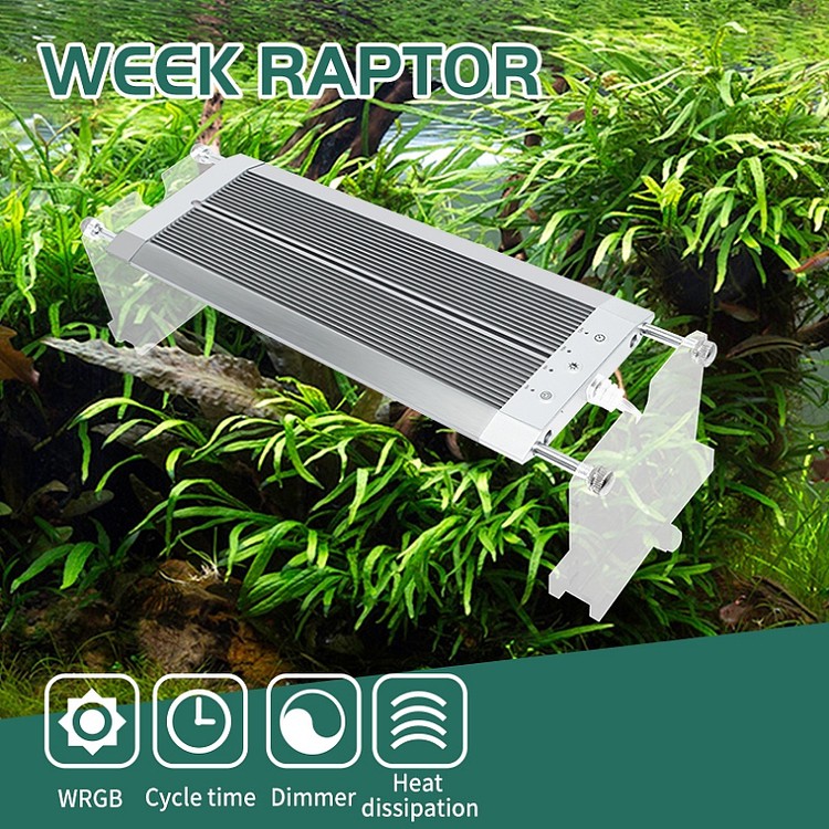 Raptor K D600-WRGB (36W) โคมไฟสำหรับตู้ปลา และตู้ไม้น้ำขนาด 24นิ้ว