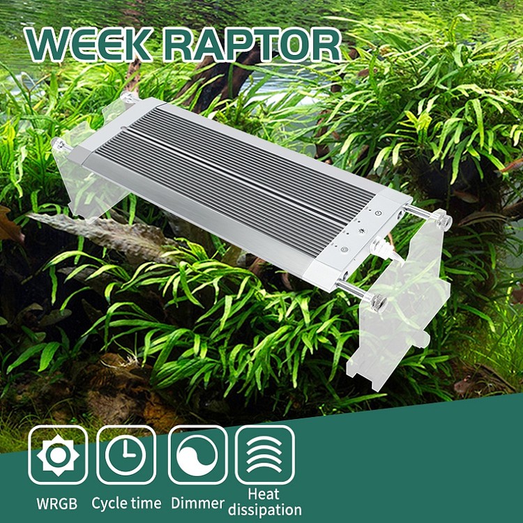 Week Aqua Model : Raptor K D300-WRGB (18W) โคมไฟสำหรับตู้ปลา และตู้ไม่น้ำขนาด 12-14นิ้ว