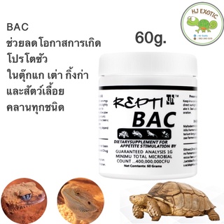 Repti Bac โปรไบโอติกสำหรับสัตว์เลื้อยคลาน เพิ่มจุลินทรีย์ ลดการเกิดโปรโตซัว