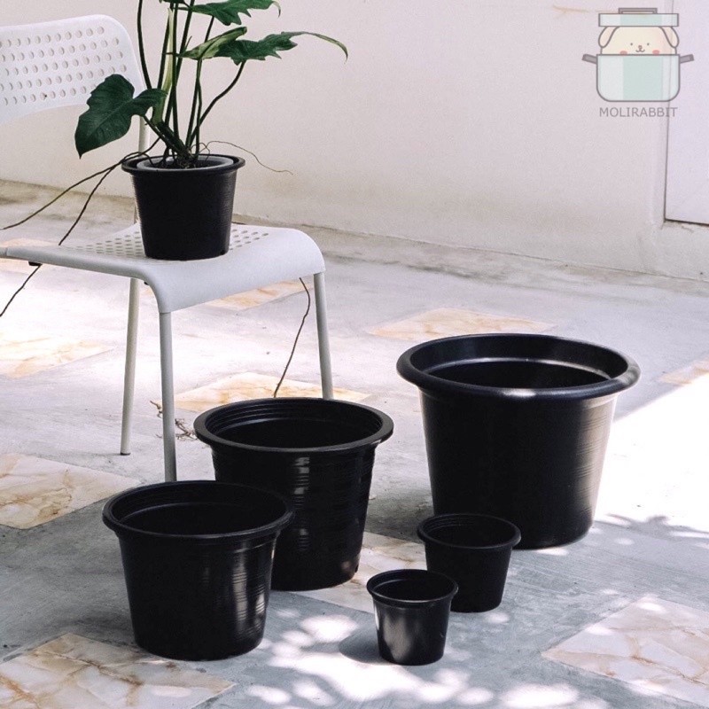 กระถางเพาะชำ 5/6/8/10/12/15 นิ้ว สีดำ