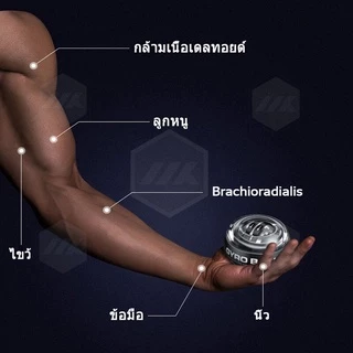 ลูกบอลออกกำกาย power wrist ball บริหารข้อมือ อุปกรณ์บริหารข้อมือ บอลบริหารมือ พาวเวอร์บอล