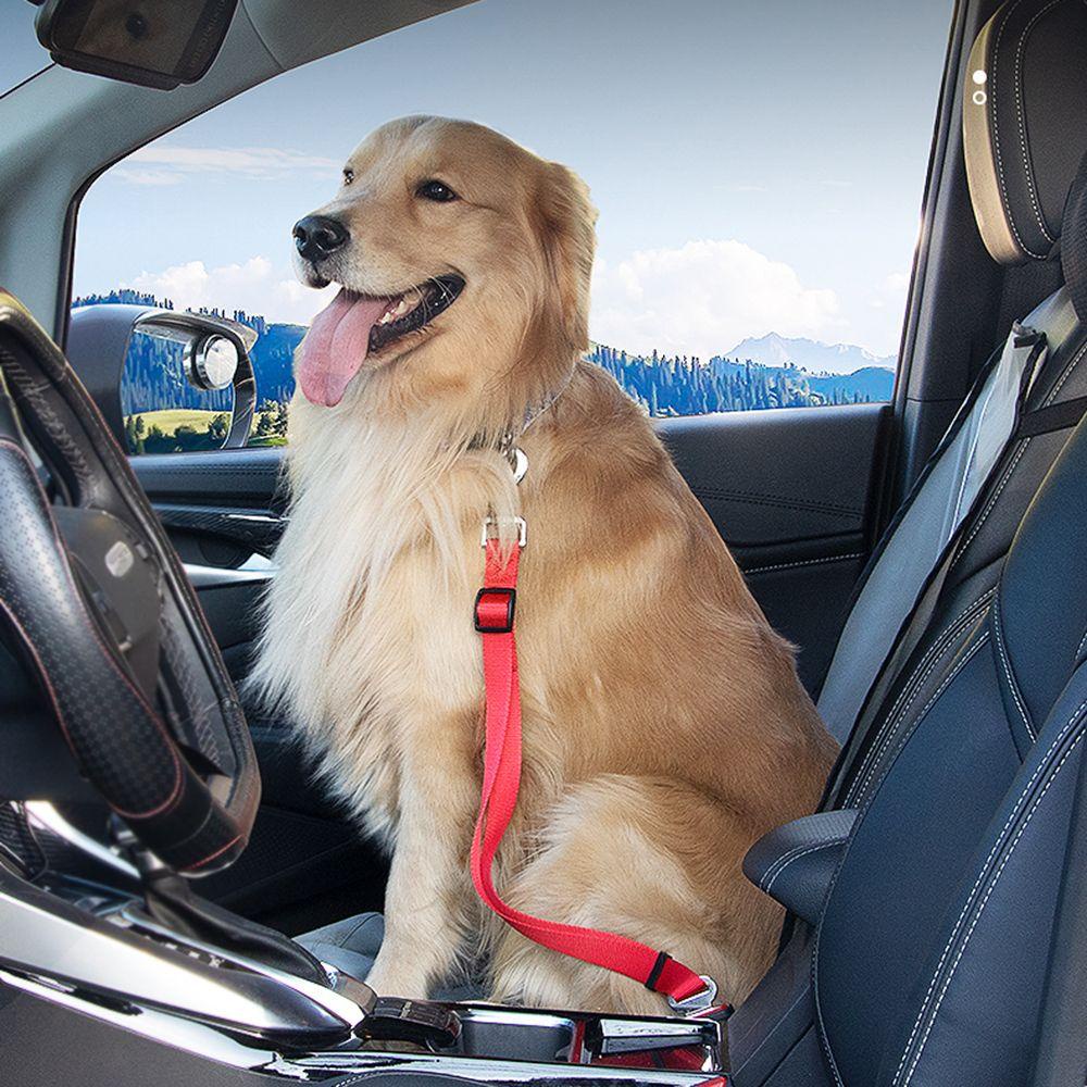 BEAUTY Vehicle Dog Safety Belt Rope Security Leash Pet Car Seat Belt ...