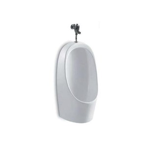 โถปัสสาวะชายแบบแขวนผนัง HAFELE WALLHUNG URINAL 335X650X305MM